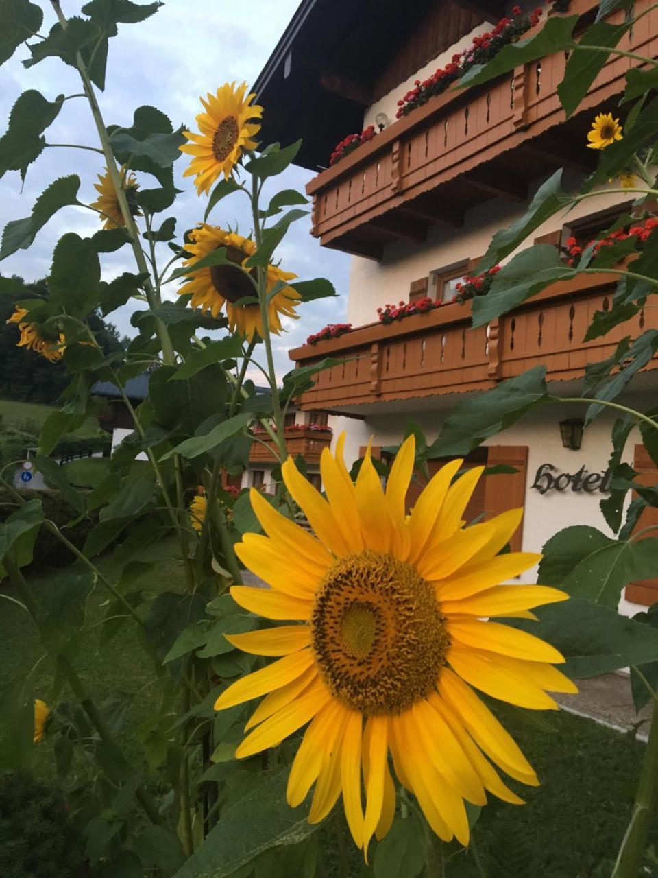 Alpenhotel Weiherbach Berchtesgaden Hallenbad Und Sauna Zewnętrze zdjęcie